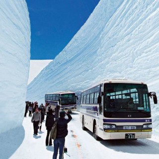 ทัวร์กำแพงหิมะ ญี่ปุ่น
